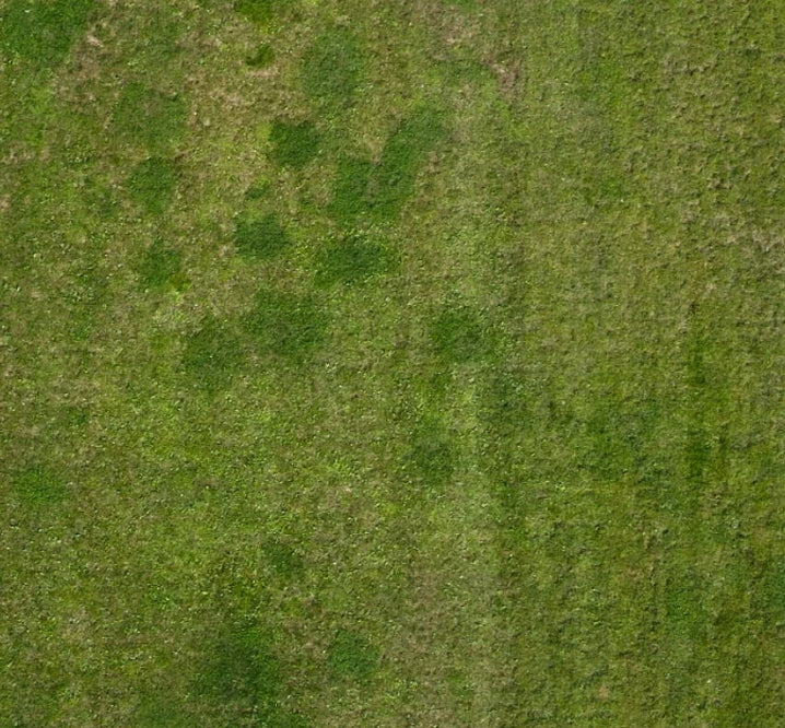 quiz-background