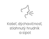 Príznaky alergií